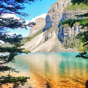 Meet your Posher, Shannon